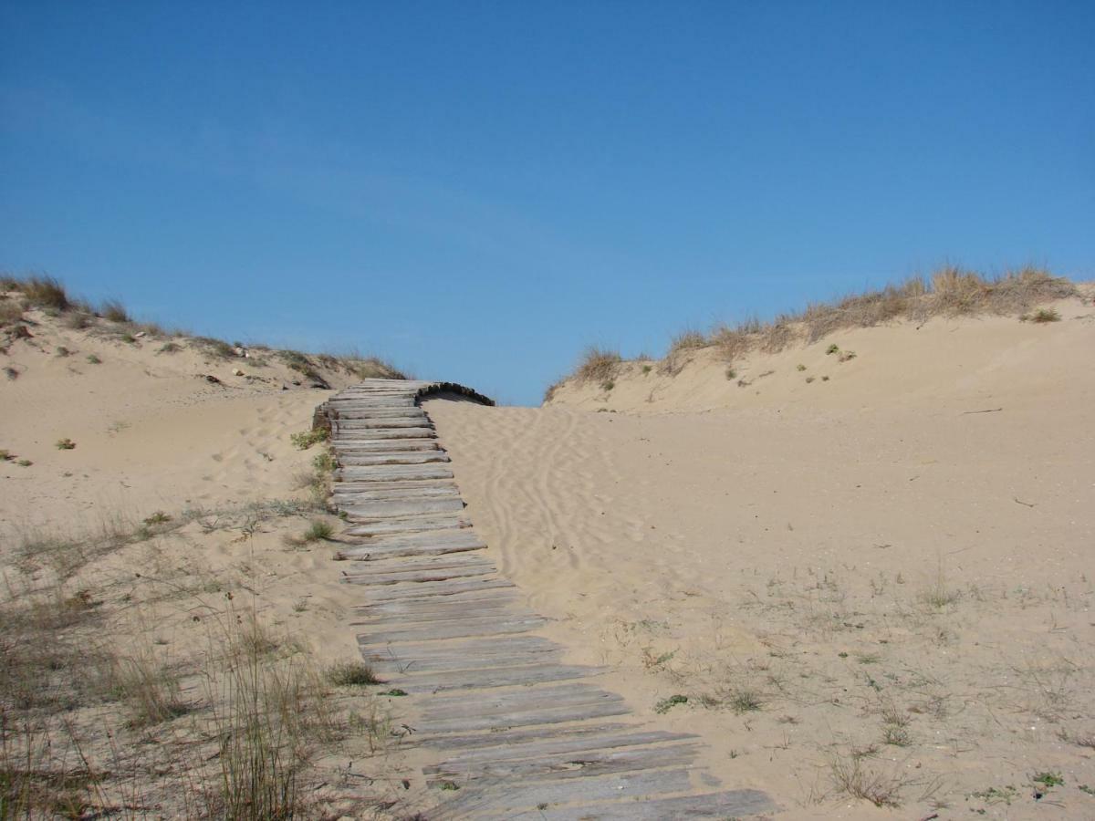 Dunas Victoria 奥利瓦 外观 照片